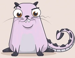 Cat avatar
